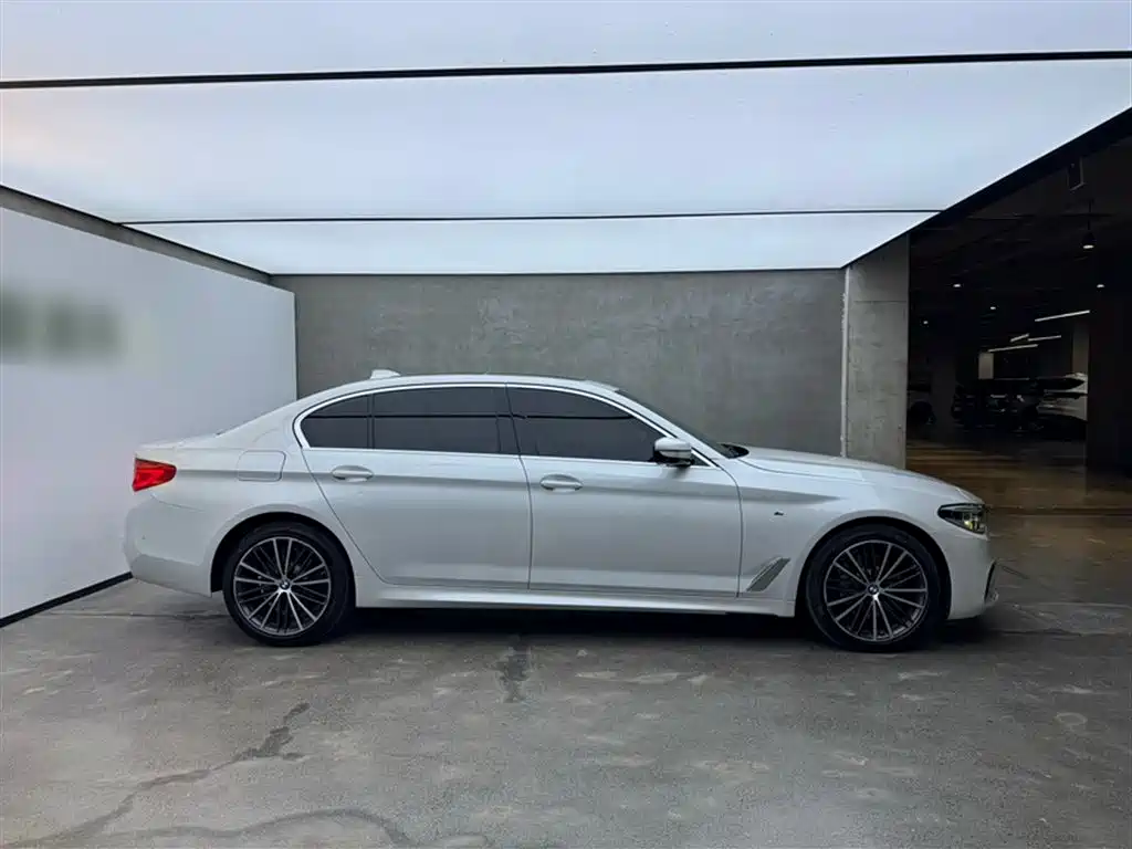 BMW 5 Series 2020 530Li Exclusive M Sport Package фото 5
