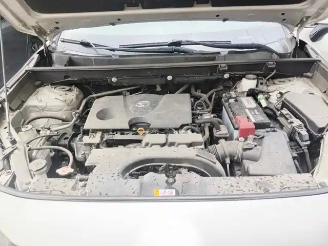 Toyota Wildlander 2020 2.0L CVT 2WD Luxury Edition — фото 3