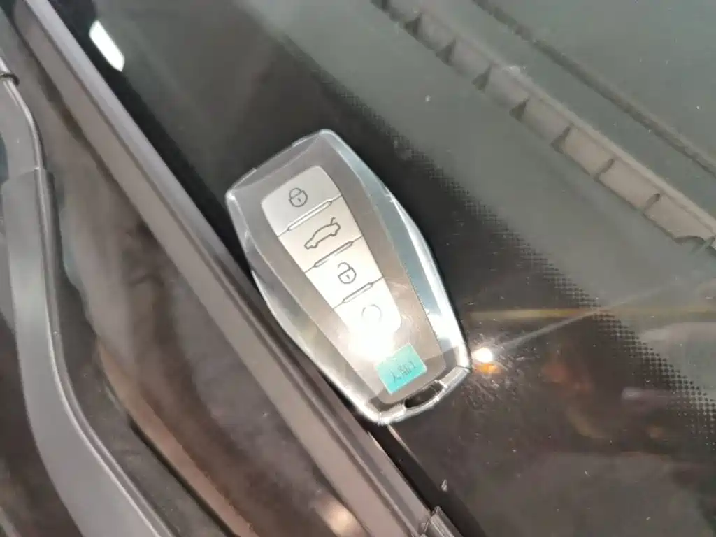 Фото 9 - Geely Binrui