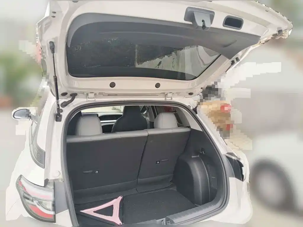 2026 Geely Galaxy Starry Wish