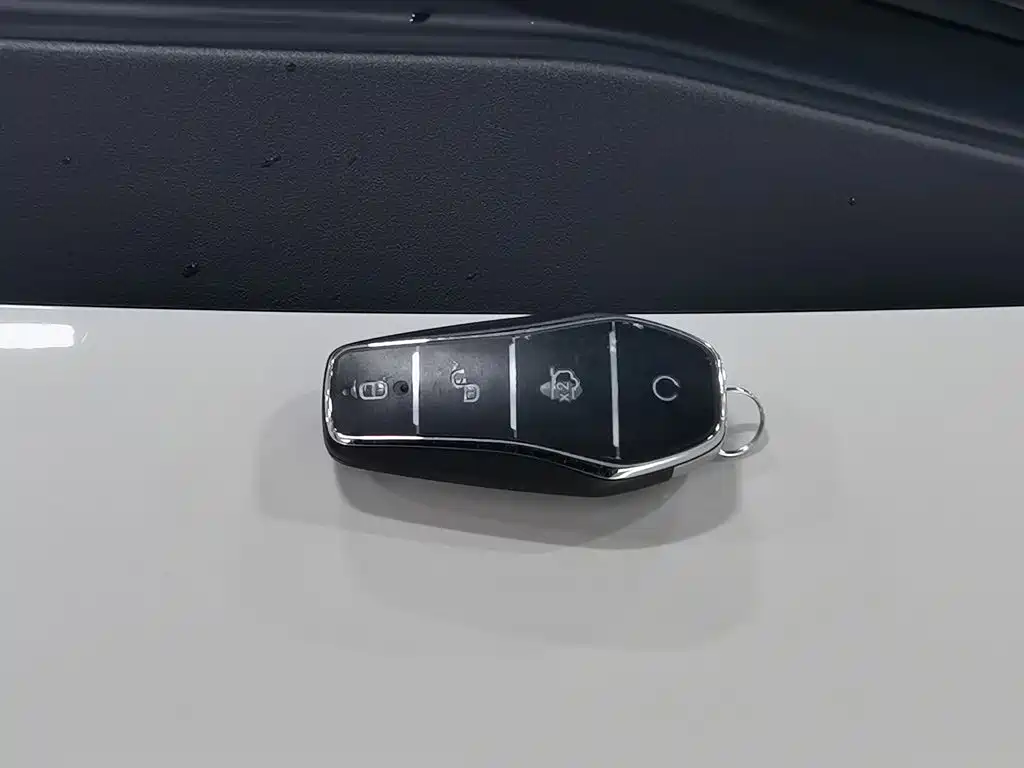صورة 19 - BYD Seagull