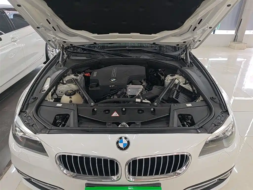 BMW 5 Series 2014 525Li Luxury Design Package фото 20