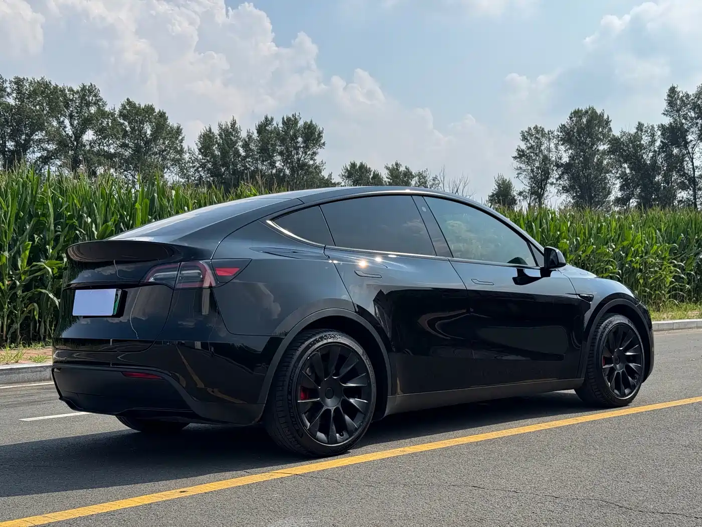 Tesla Model Y 2021 2021 Standard Range Rear-Wheel Drive