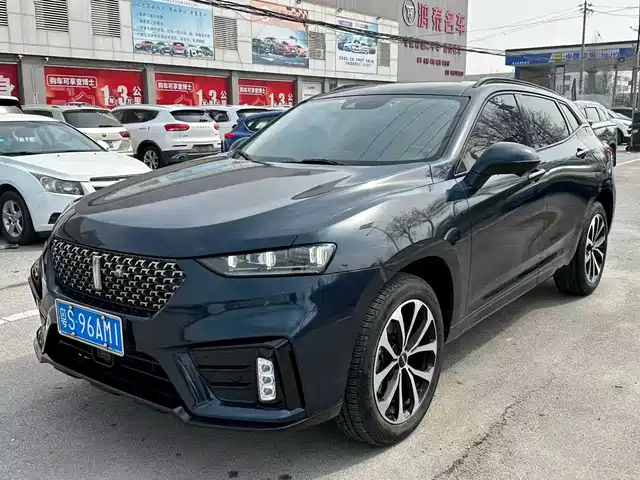 WEY VV7 2020 2.0T Super Luxury