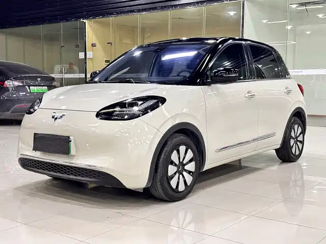 Wuling Motors Wuling Bingo 2023 203km Comfort Version