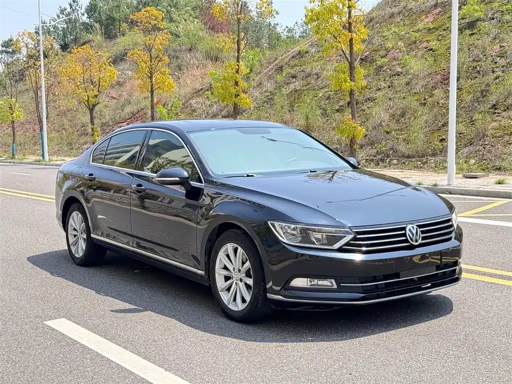 Volkswagen Magotan 2018 330TSI DSG Leading фото 2