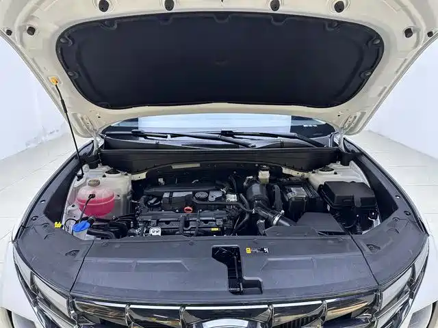 Hyundai Tucson 2021 Tucson L 1.5T DCT LUX Premium фото 16