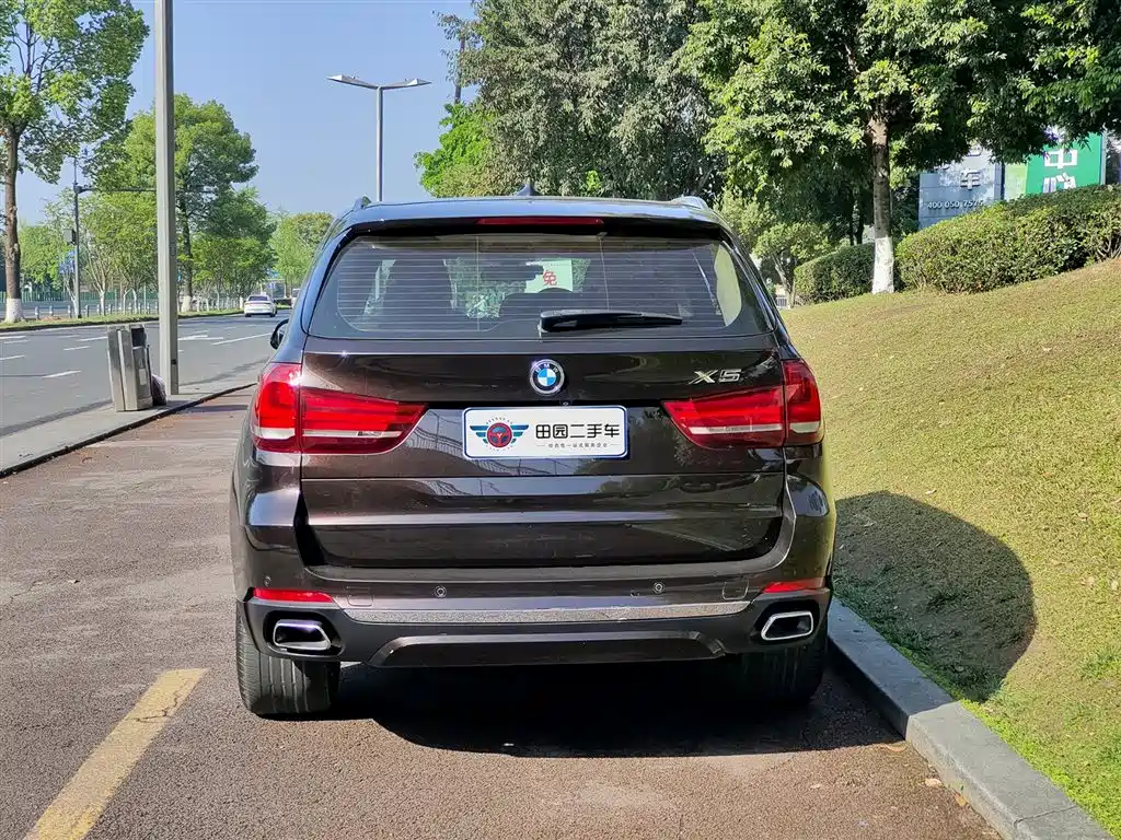 BMW X5 (Import) 2017 xDrive35i Elegance фото 5