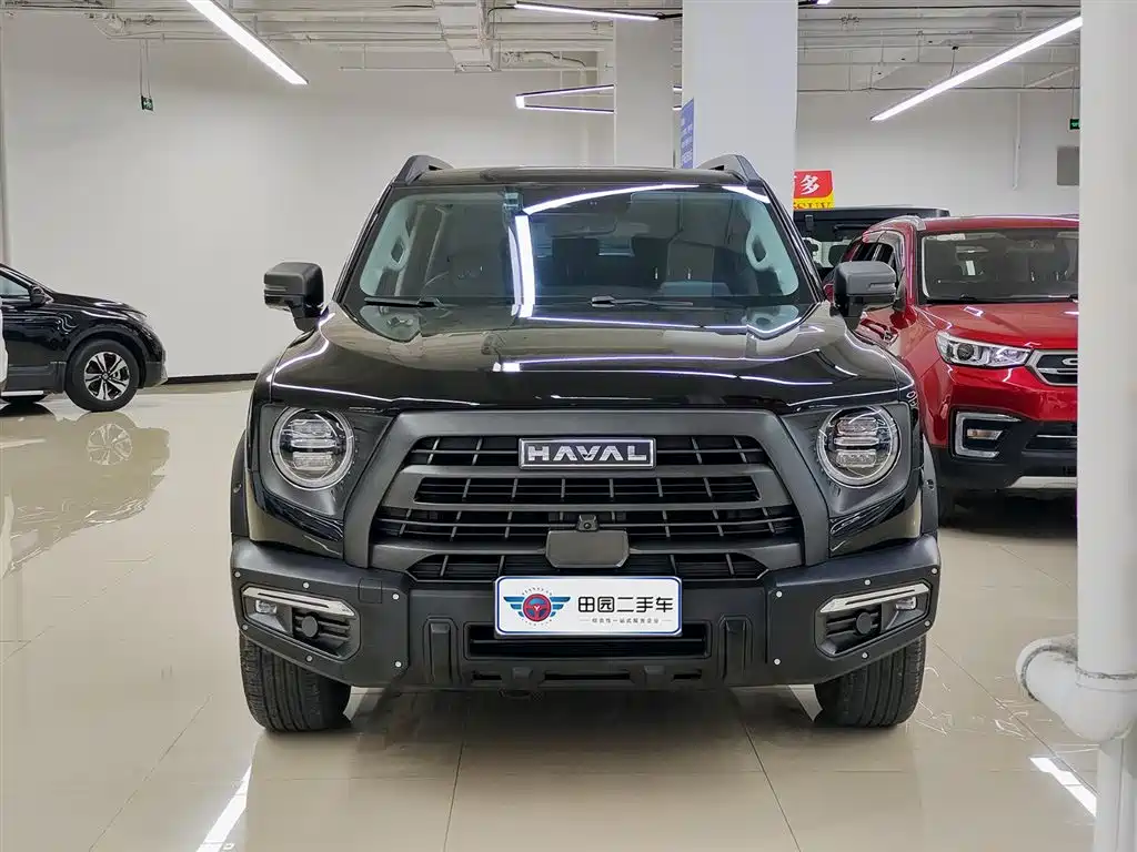 Haval Big Dog 2024 2.0T DCT Chinese Rural Dog Edition фото 2