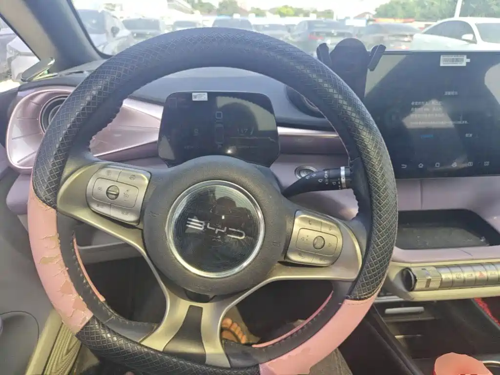 BYD Dolphin 2021 2021 Model 405km Fashion Edition