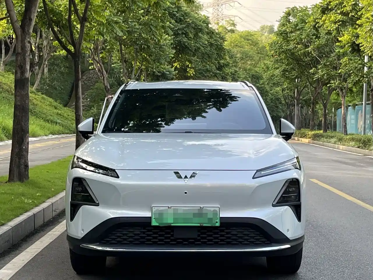 Wuling Motors Wuling Xingguang S 2024 2024 510km Navigation Edition
