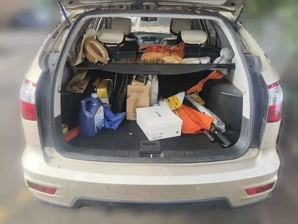 2013 BYD S6