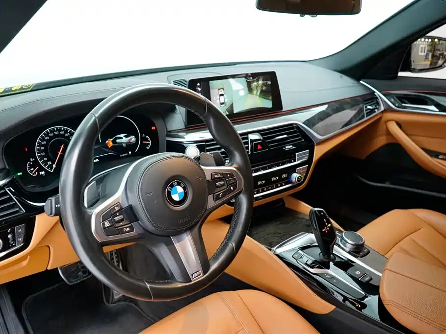 BMW 5 Series 2019 530Li Leading M Sport Package фото 17