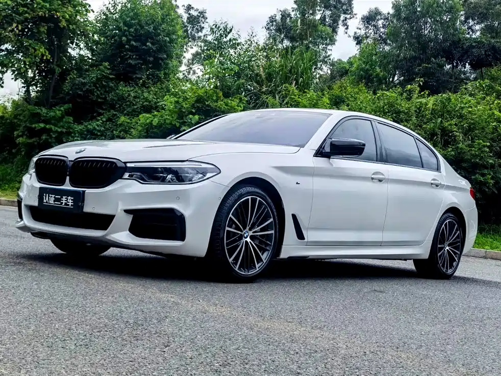 BMW 5 Series 2019 Facelift 530Li Premium M Sport Package