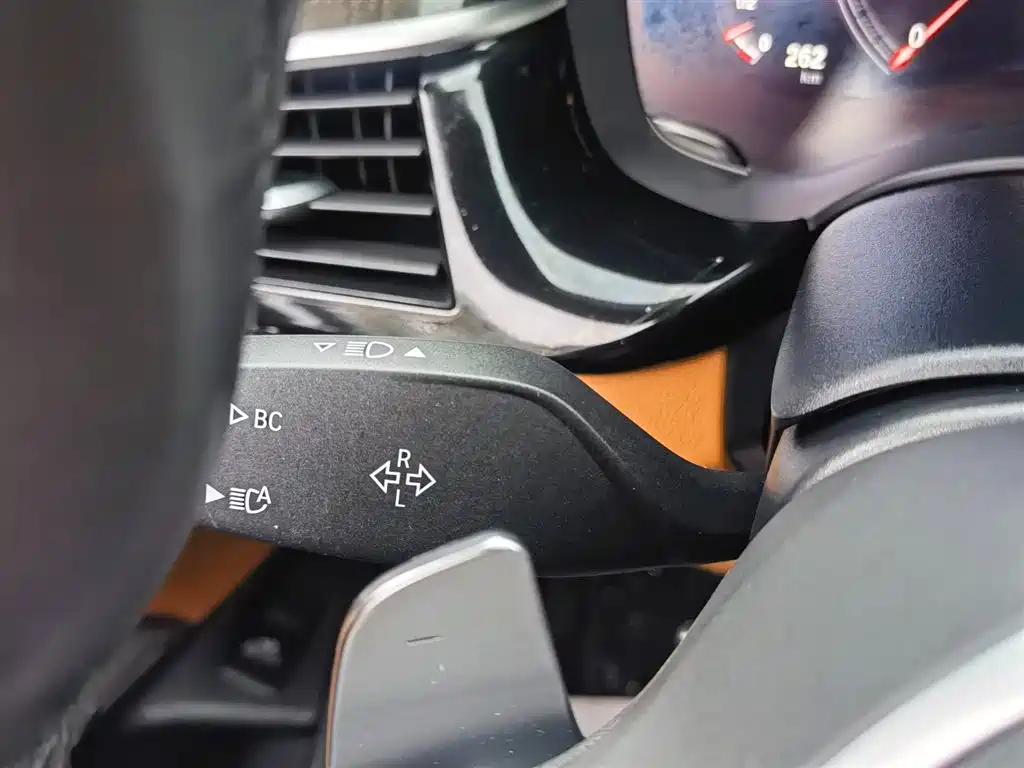 BMW 5 Series 2019 Facelift 530Li Premium M Sport Package фото 33