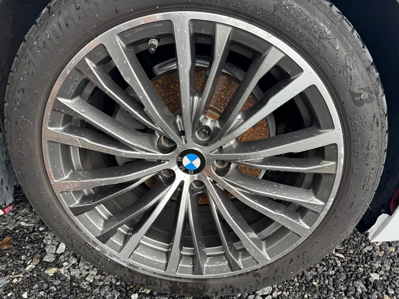 BMW 3 Series 2020 325Li Launch Edition фото 21