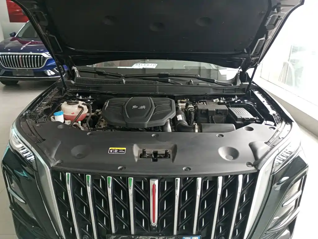 Hongqi HS5 2025 2025 2.0T 2WD Qixiang Pro