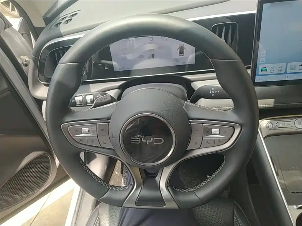 BYD Hai Shi 05 EV 2025 520KM Smart Navigation Edition фото 11