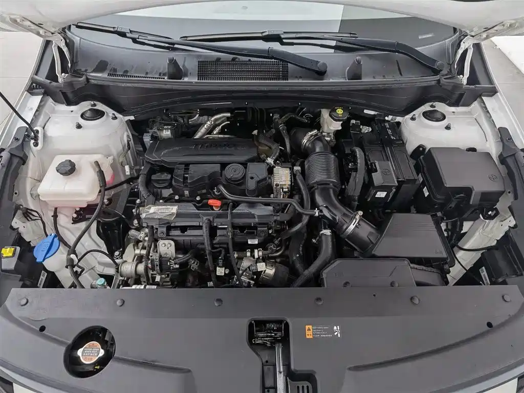 KIA LION PLATINUM EXPANDS THE WORLD