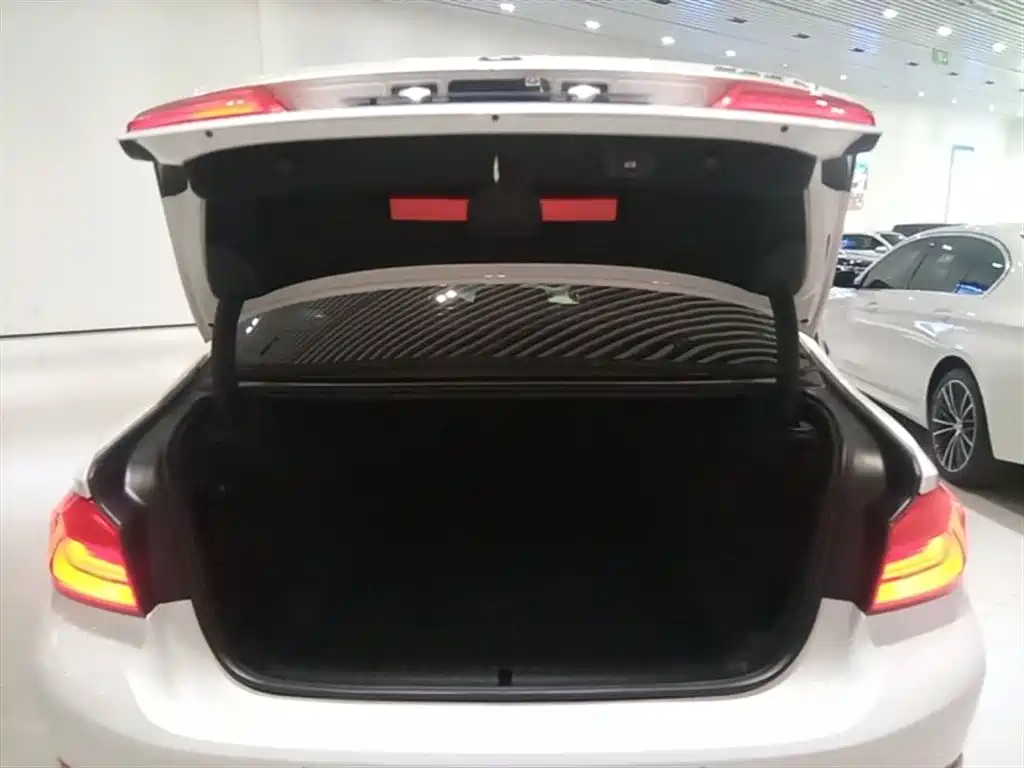 BMW 5 Series 2018 Facelift 530Li Leading Luxury Package фото 19