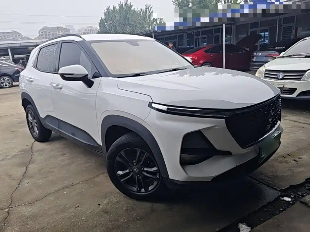 Baojun RS-3 2019 2020 1.5L CVT 24-hour Online Elite Model