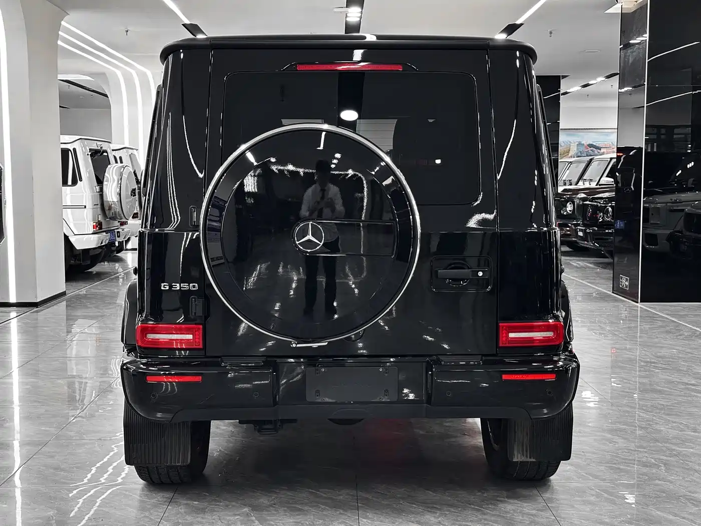 Mercedes-Benz G-Class 2023 G 350 фото 6