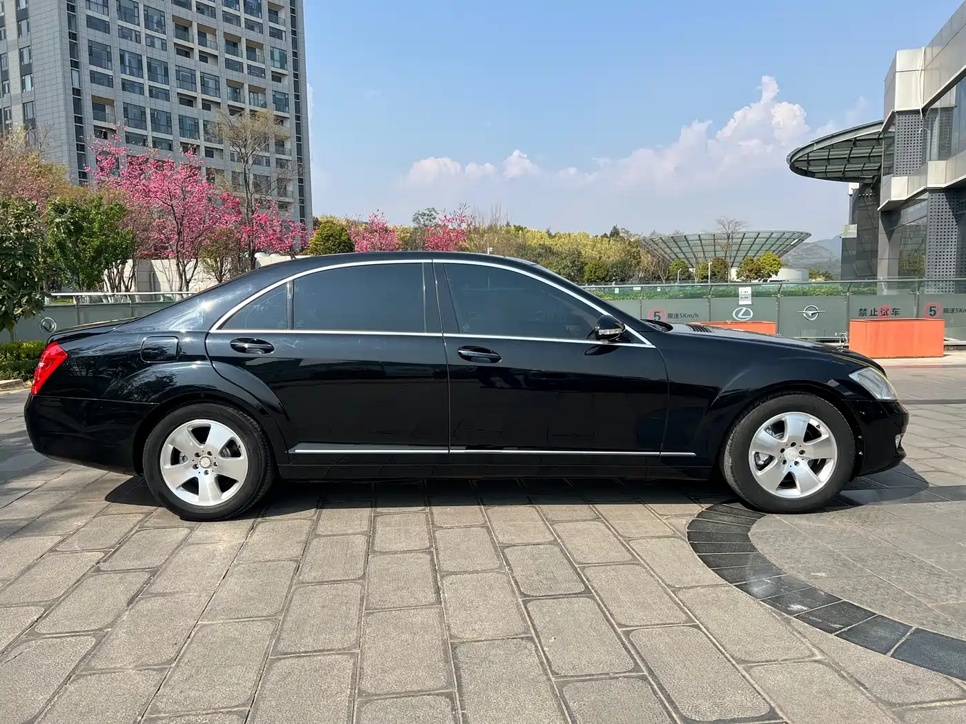 Mercedes-Benz S-Class 2010 S 350 L Luxury фото 7