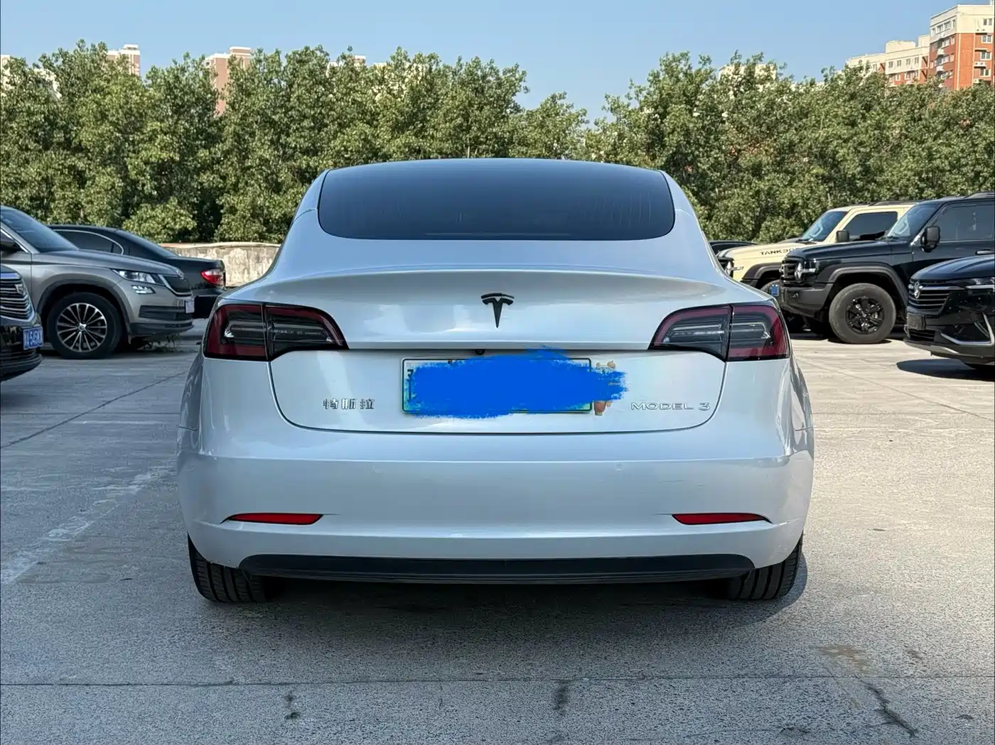 Tesla Model 3 2020 2020 Standard Range Rear-Wheel Drive Upgrade