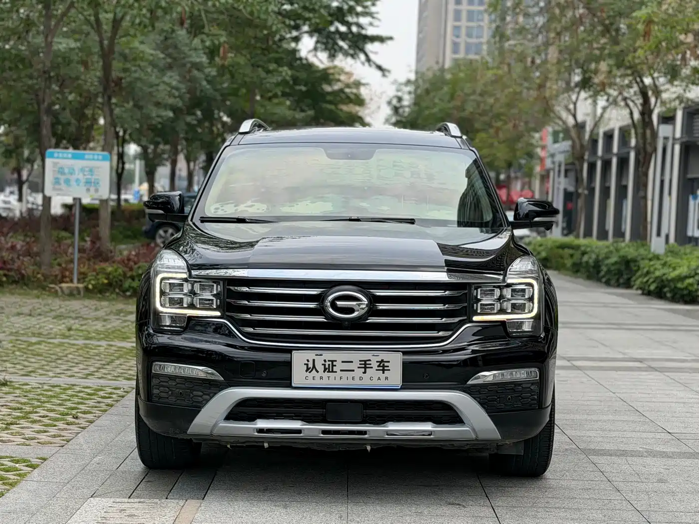 GAC Trumpchi Trumpchi GS8 2017 320T 2WD Luxury Smart Connect (7-seater) фото 2