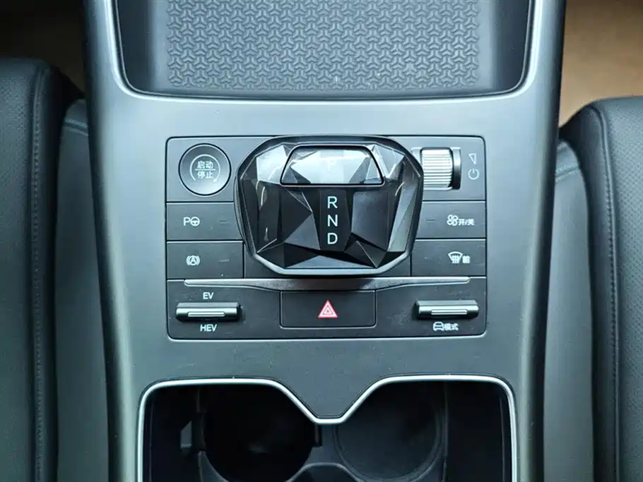 BYD SONGJIANG NEW ENERGY