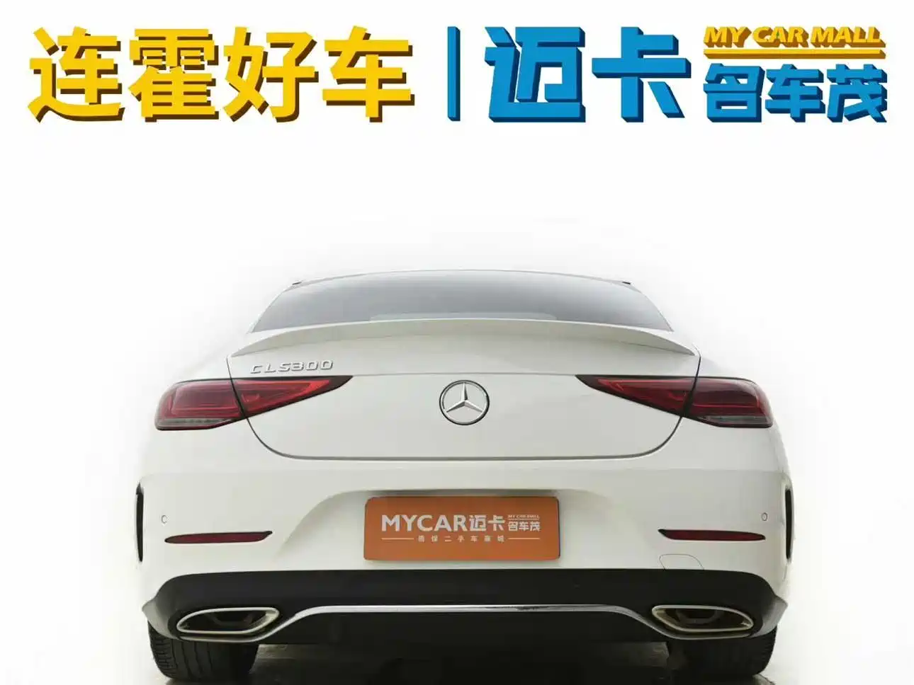 Mercedes-Benz CLS 2021 CLS 300 Luxury фото 4