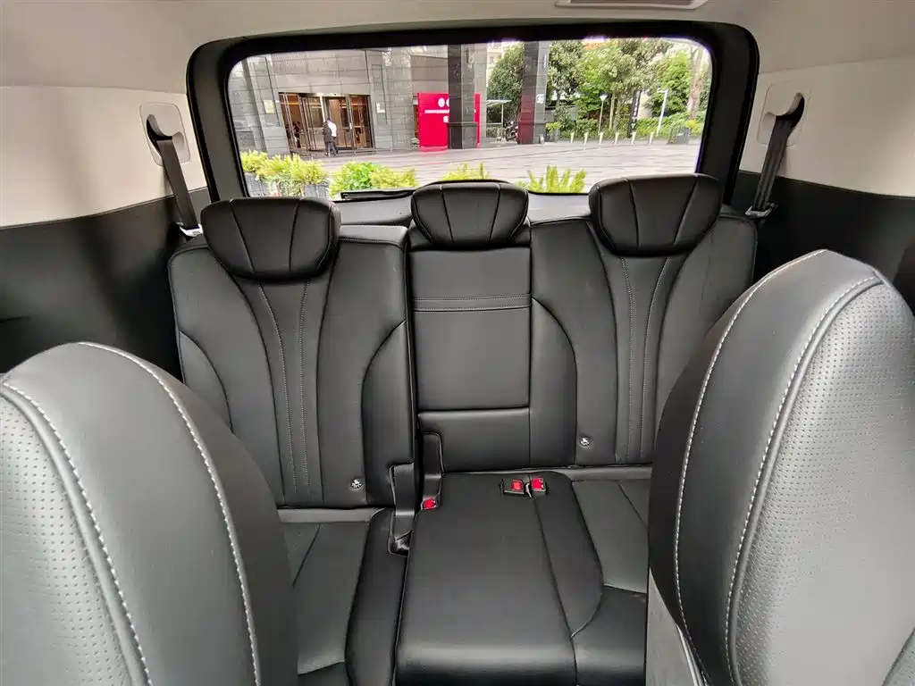 Hongqi HQ9 PHEV 2024 Model 2.0T AWD Luxury Edition фото 9