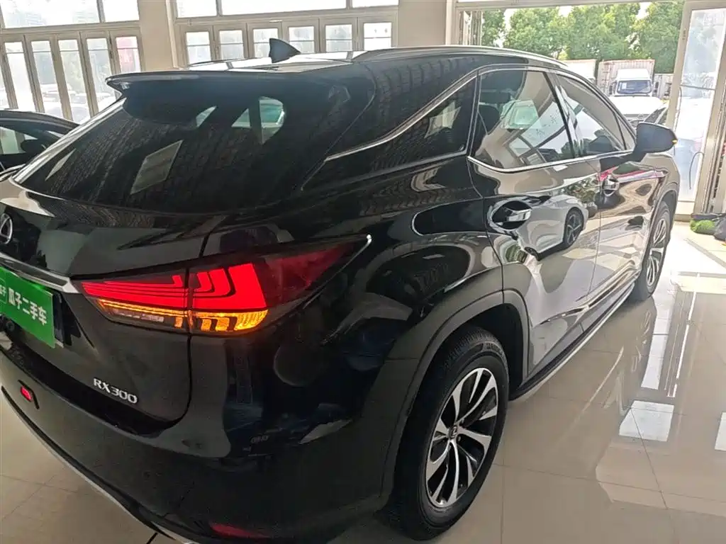 Lexus RX 2020 Facelift 300 2WD Elite Edition фото 7
