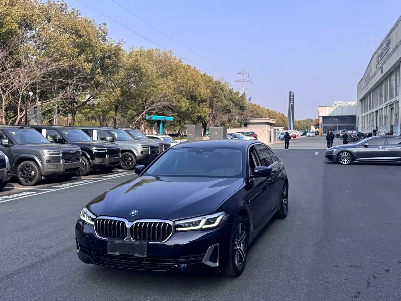 BMW 5 Series 2021 530Li Leading Luxury Package