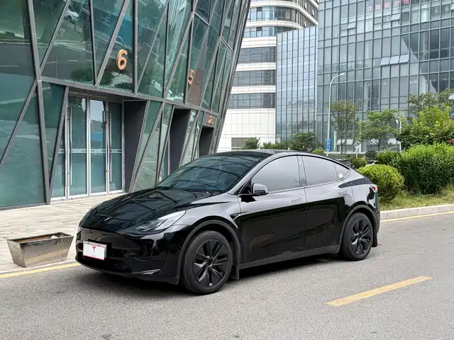 Tesla Model Y Задний привод