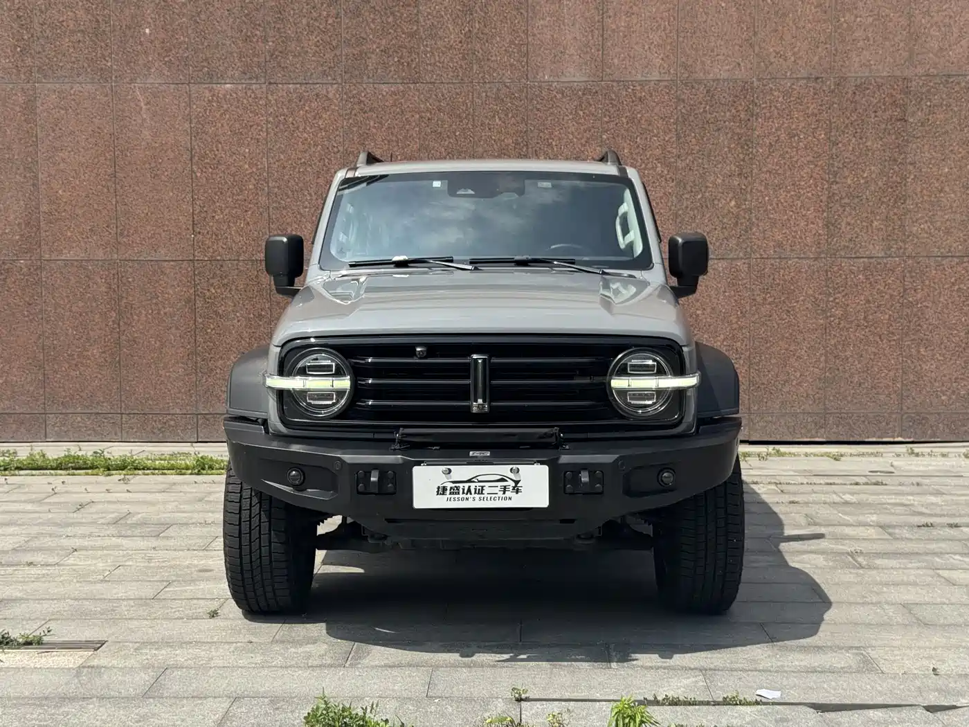 Tank 300 2021 Off-road Version 2.0T Conqueror фото 2