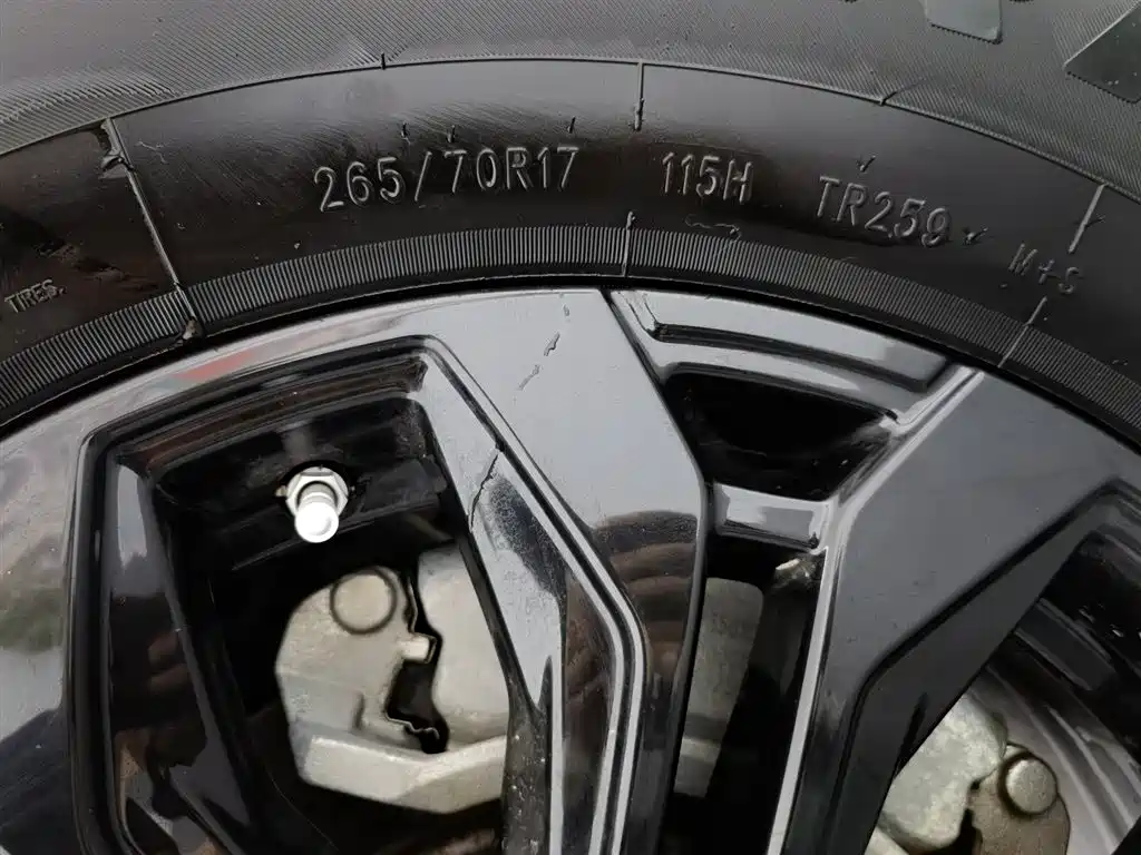 212 T01 2024 2.0T Mechanic фото 24