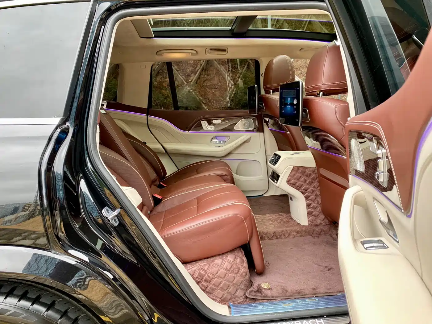 Mercedes-Benz Maybach GLS 2021 GLS 480 4MATIC фото 12