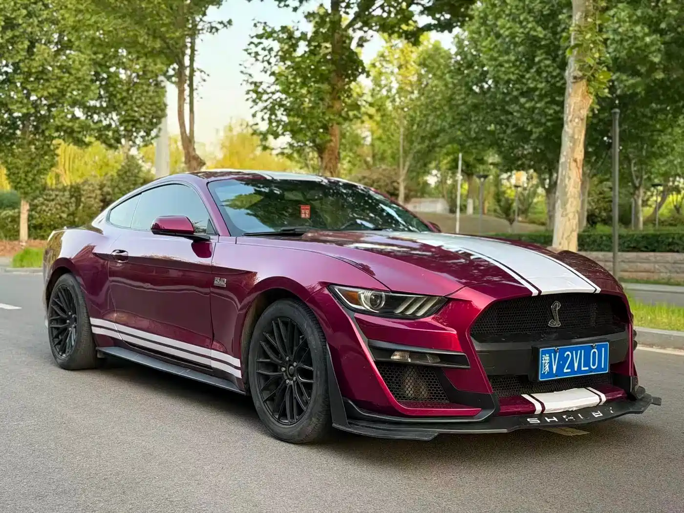 Ford Mustang 2016 2016 2.3T Performance Edition