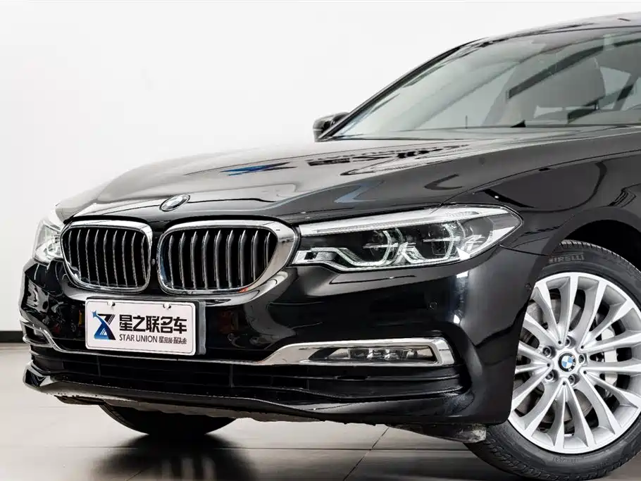 BMW 5 Series 2020 530Li Premium Luxury Package фото 3