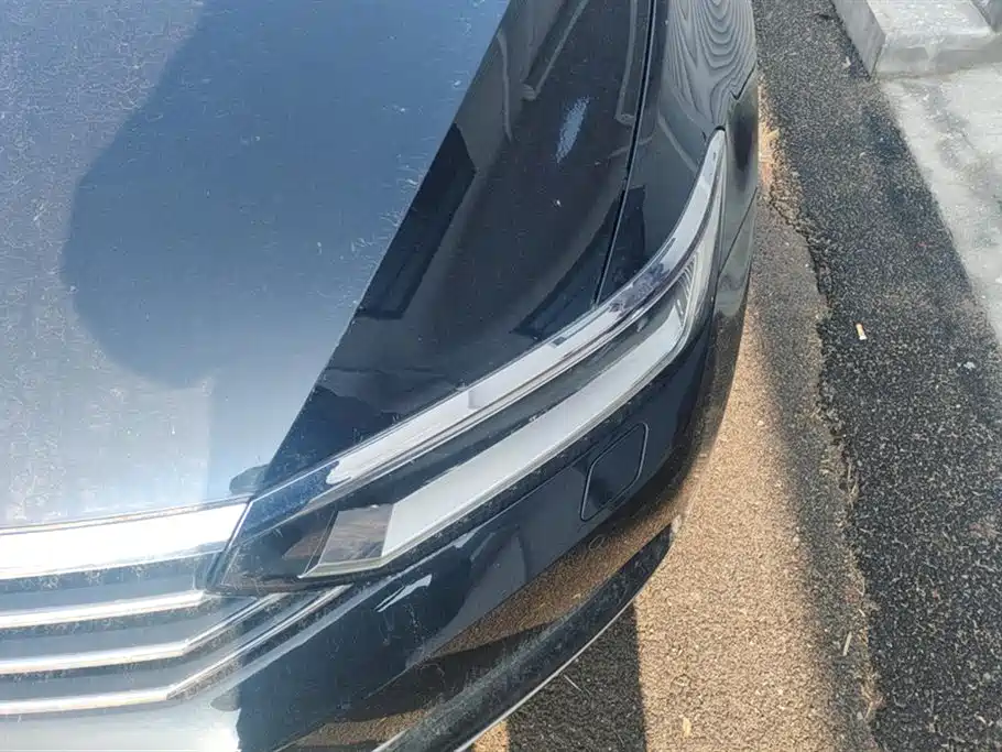 Volkswagen Magotan 2019 380TSI DSG Premium China V фото 5