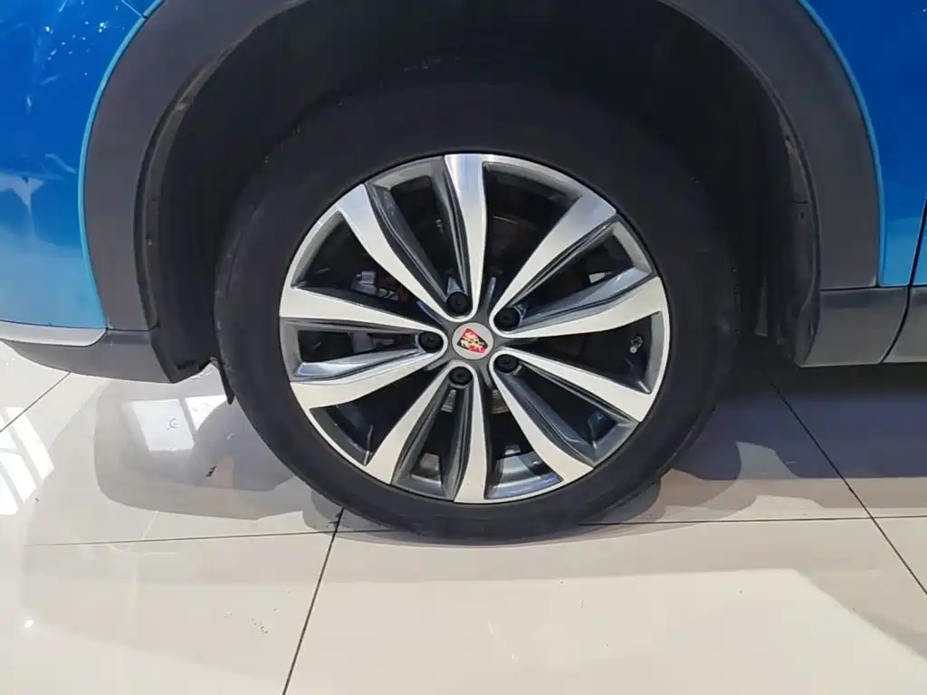 Фото 23 - Roewe RX5 MAX
