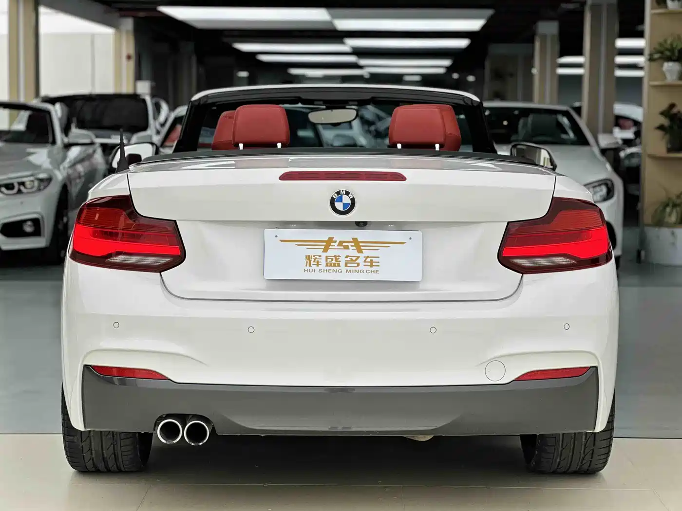 BMW 2 Series (Import) 2019 225i Convertible Coupe Exclusive M Sport Package фото 4