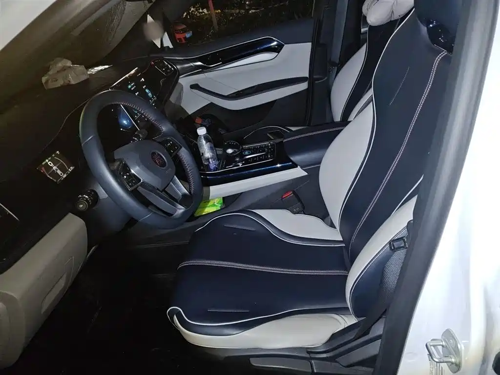BYD Qin PLUS 2021 DM-i 120KM Premium фото 8
