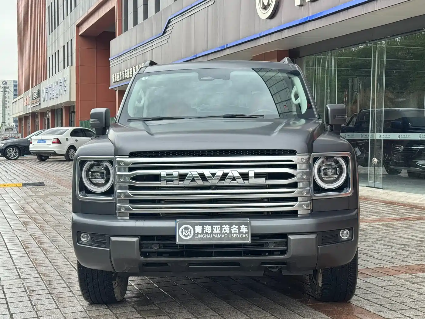 HAVAL H9