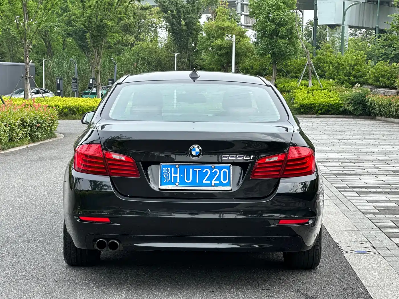 BMW 5 Series 2014 520Li Elegance фото 5