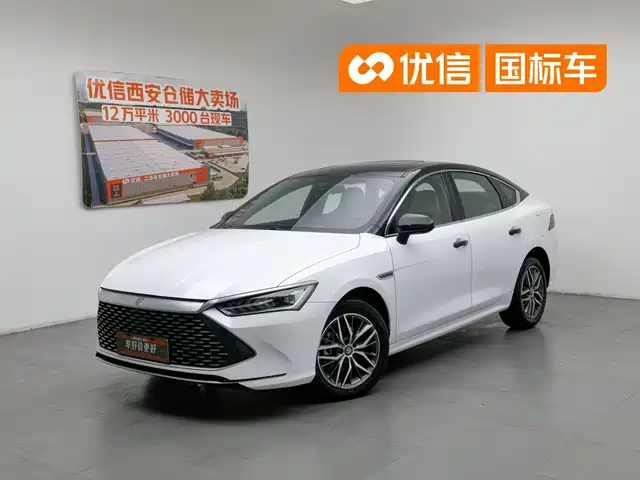 BYD Qin PLUS 2023 Champion Edition DM-i 120KM Surpassing Type — фото 1