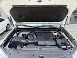 Фото 27 - Toyota Prado