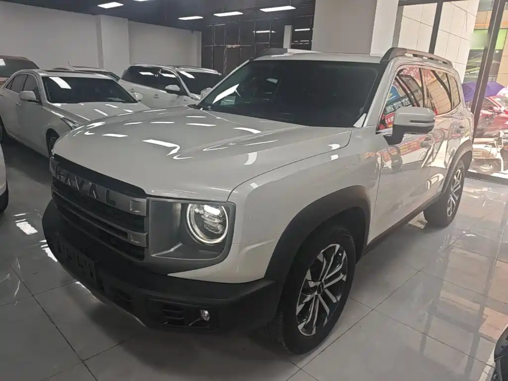 Haval Big Dog 2025 2024 1.5T DCT Border Collie Edition