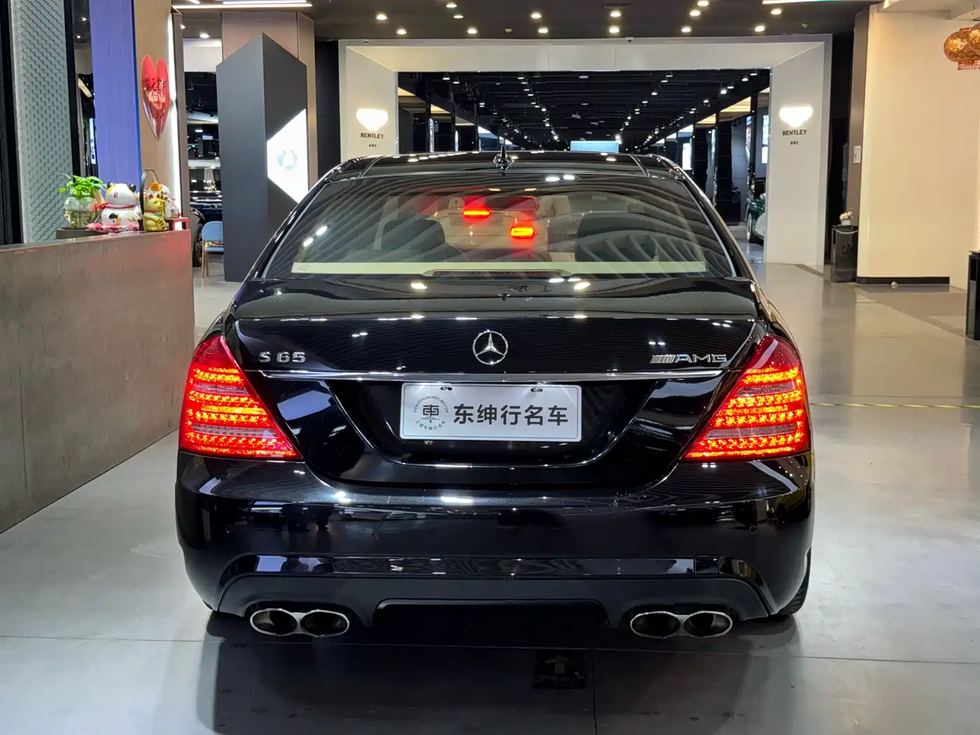 Mercedes-Benz S-Class AMG 2010 AMG S 65 фото 8